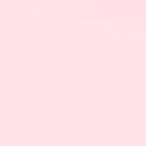 Meet your Posher, Raquel